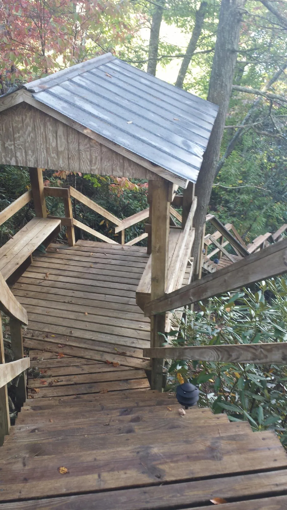 Metal roofed shelter over wooden steps on a wooded walkway — Skylight Repair & Installation work by our crew in Lake Odessa
