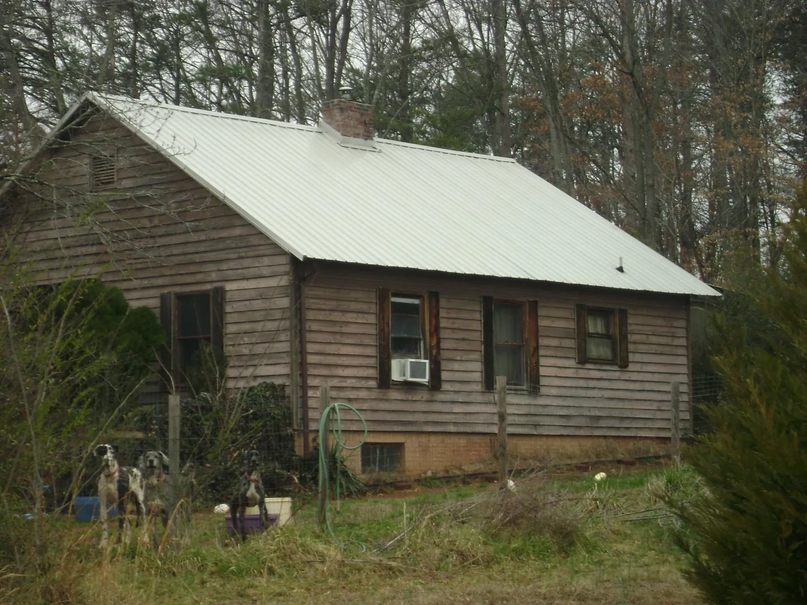 White metal roof on an old wood sided farmhouse, from a Metal Roof Installation job in Lake Odessa